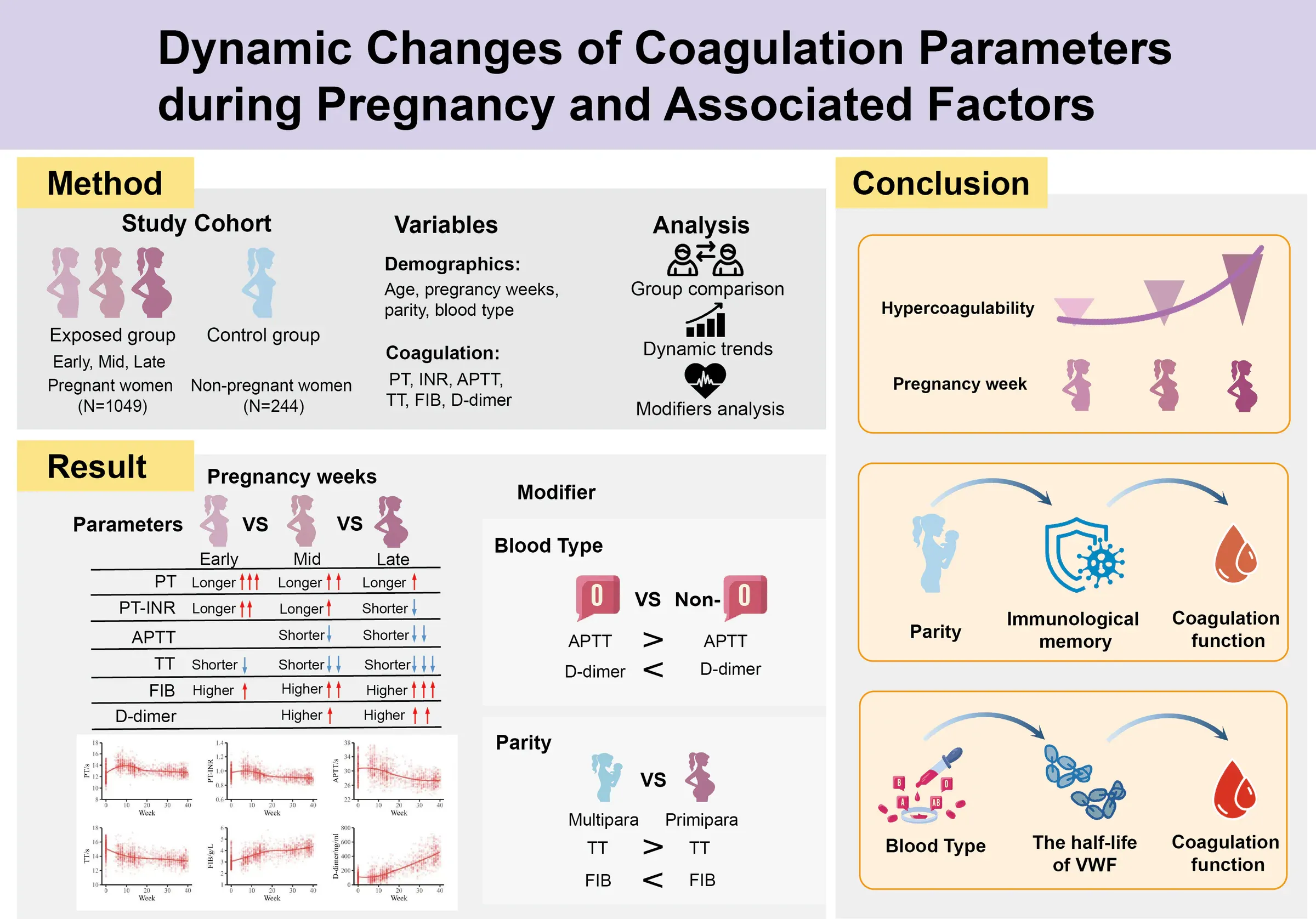Graphical abstract summarising the study design and changing coagulation profiles across pregnancy