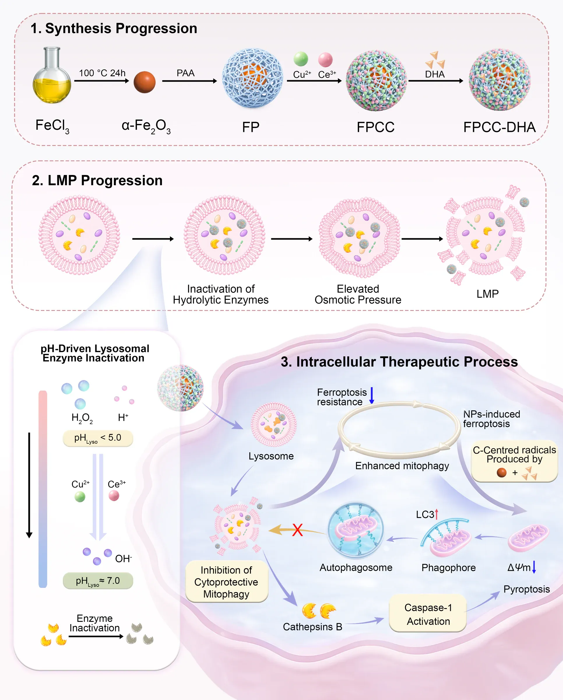 Mechanism diagram showing LMP synthesis, cellular uptake and intracellular therapeutic responses