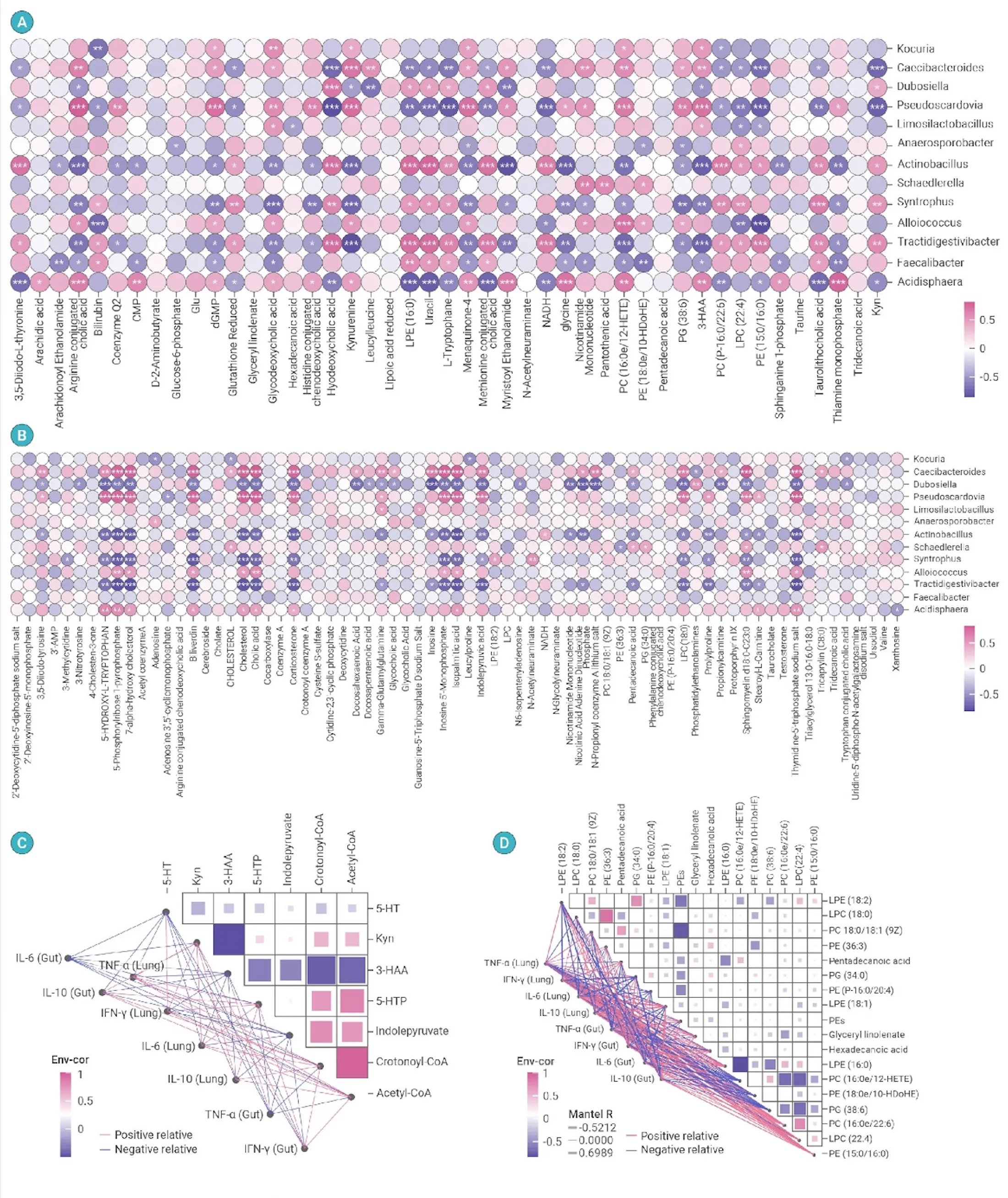 Multi-panel microbiome and metabolite correlation atlas using diverging bubble matrices and network diagrams