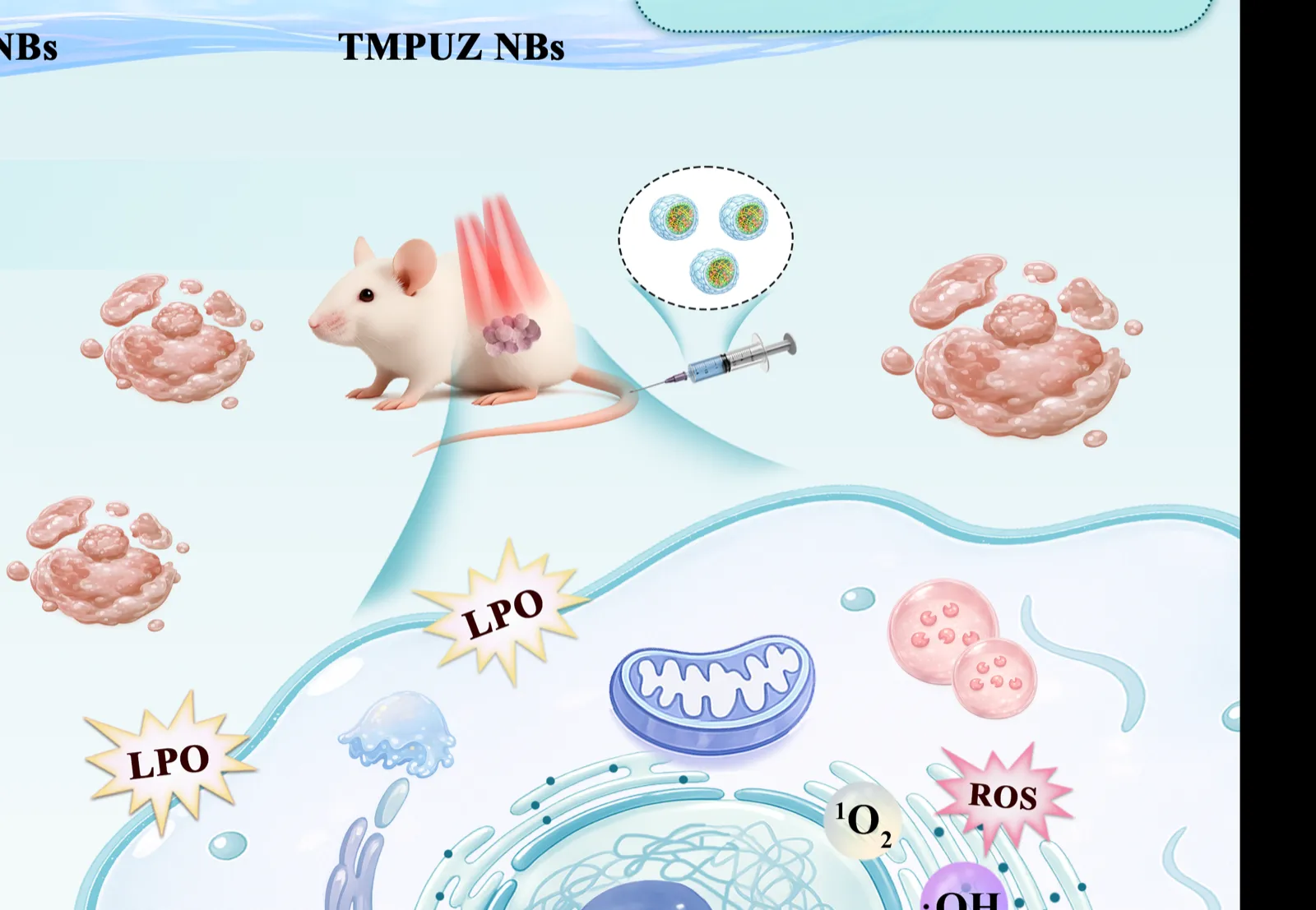 Cellular Delivery Pathway — Graphical Abstracts, Targeted drug delivery, final scientific illustration