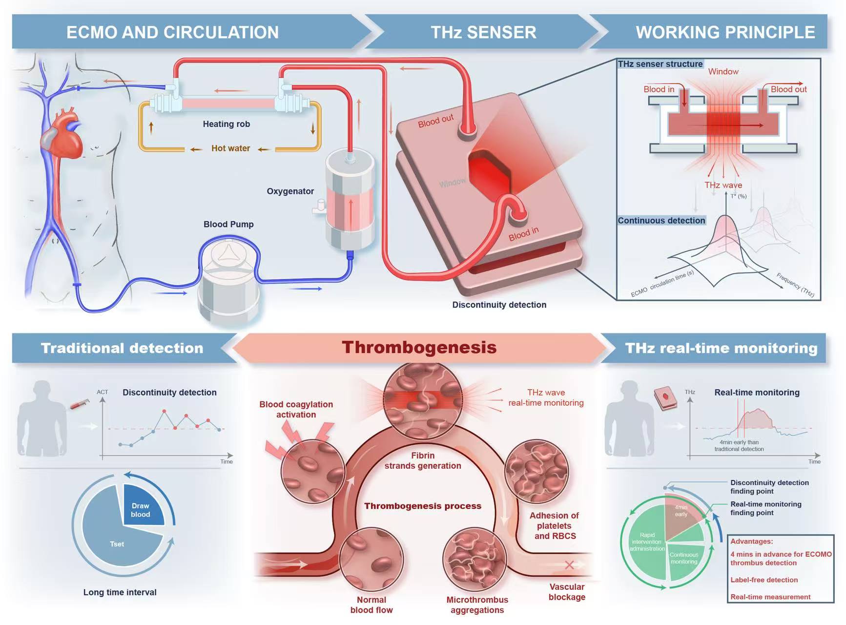 Biomedical process artwork