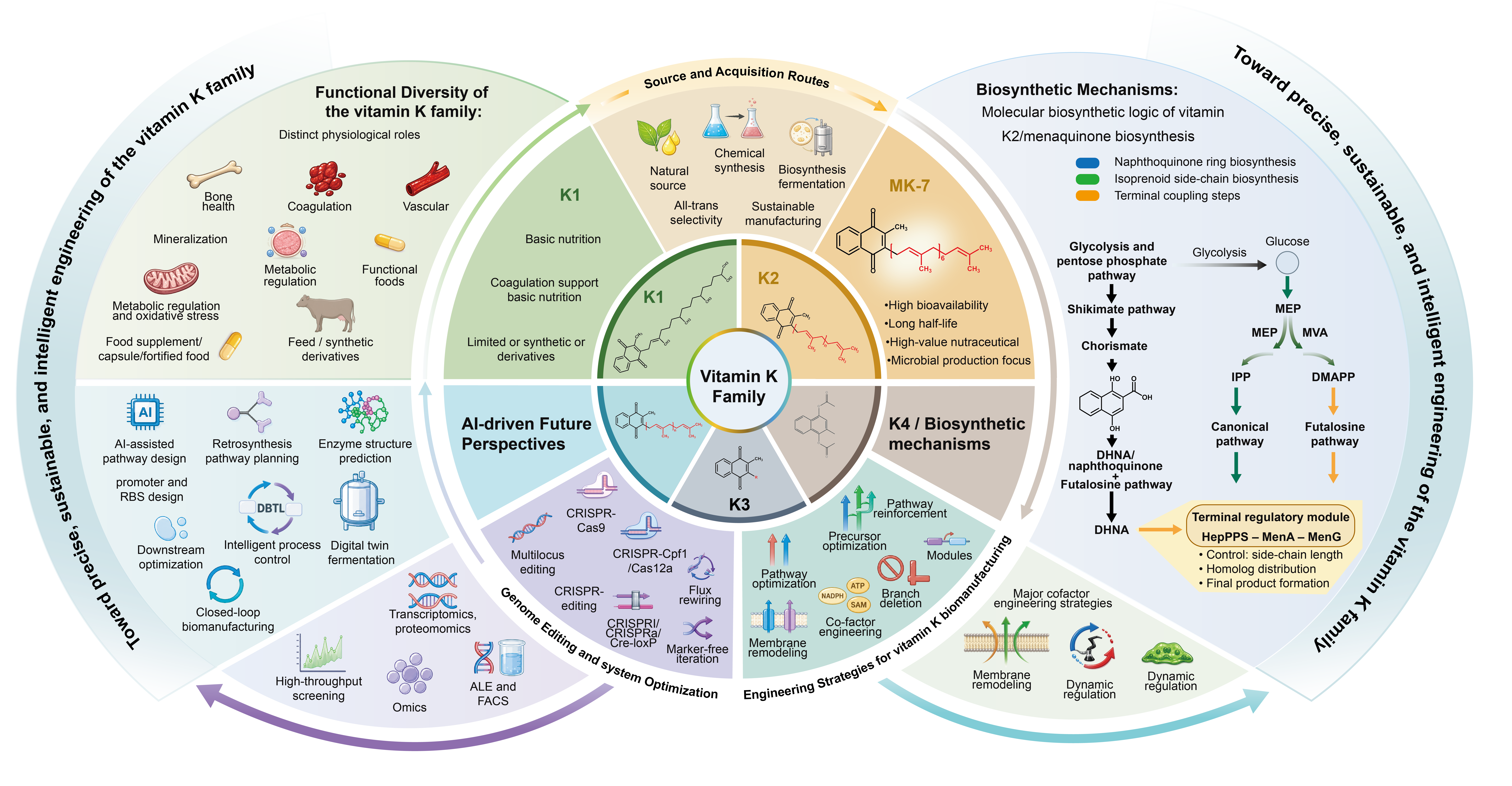 System Overview Plate