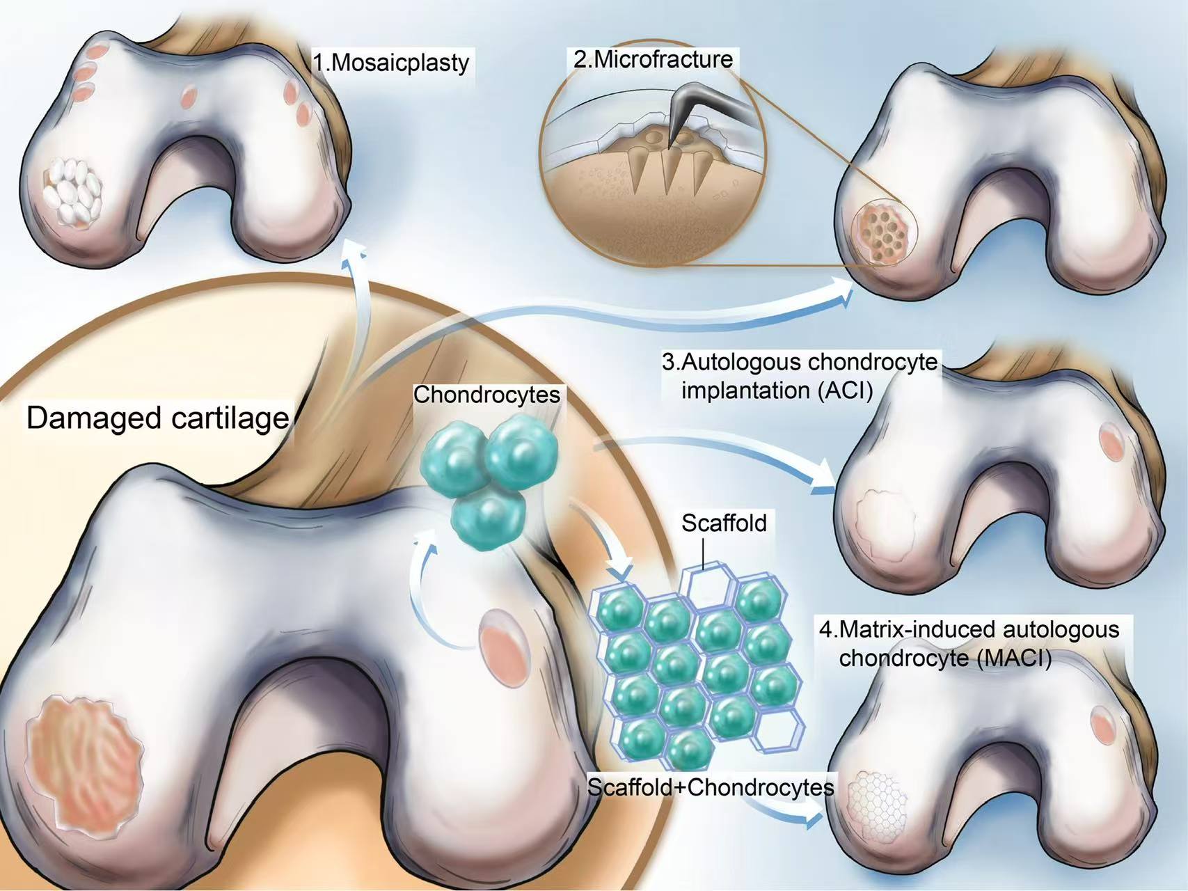 Molecular assembly illustration